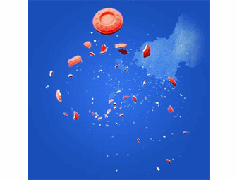 Sporting Clays Package for 4