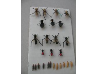 Collection of Hand-tied Flies