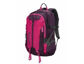 Hiker Package: Patagonia Day Pack, CamelBak H2O Bottle, RuMe Cuff