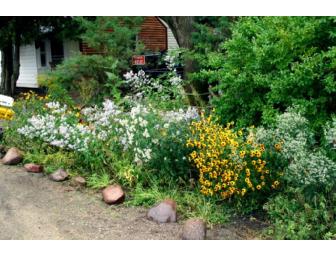 Landscape Restoration/Native Landscaping Consulting