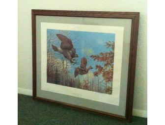 Owen Gromme Goshawk and Ruffed Grouse Limited Edition Print