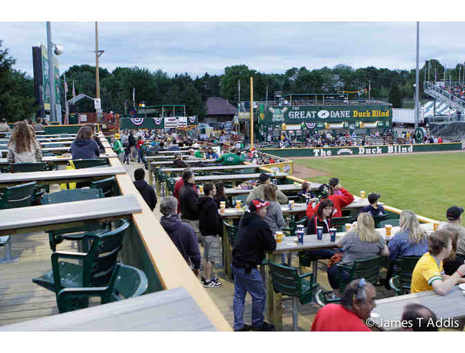 Madison Mallards Great Dane Duck Blind Party for 8