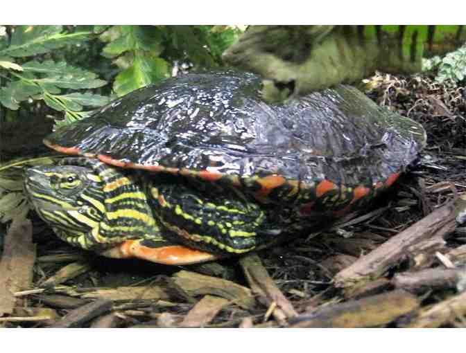 National Mississippi River Museum & Aquarium