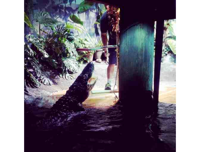 National Mississippi River Museum & Aquarium