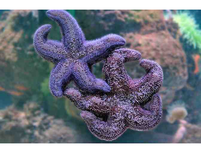 National Mississippi River Museum & Aquarium