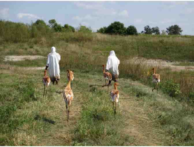 Behind-the-Scenes Tour of the International Crane Foundation