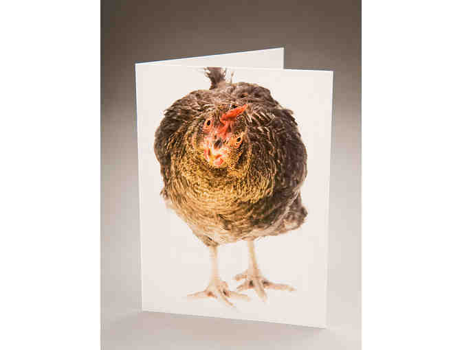 Chicken Greeting Cards