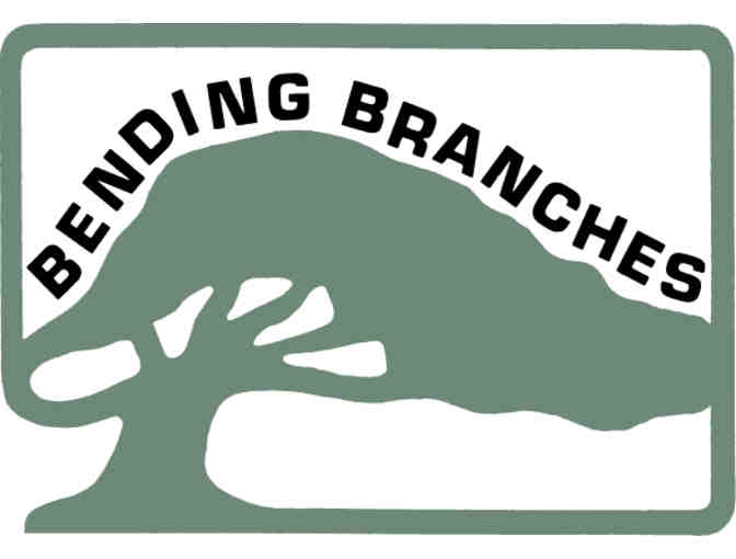 Espresso Straight Premium Canoe Paddle from Bending Branches