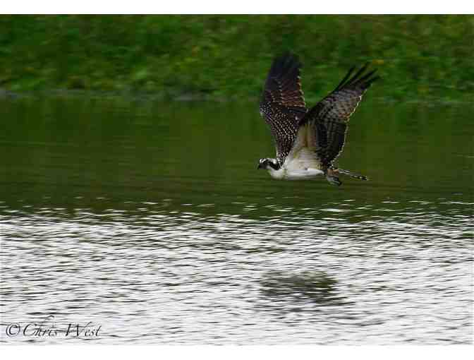 Cruise the Mississippi!