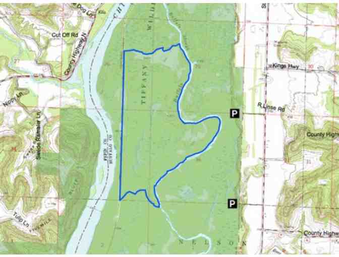 Open-Air, Antique Train Ride Through the Tiffany Wetland Bottoms