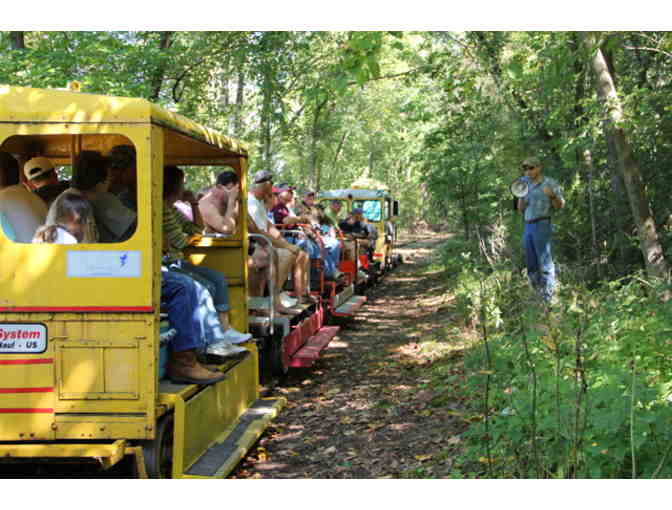 Open-Air, Antique Train Ride Through the Tiffany Wetland Bottoms