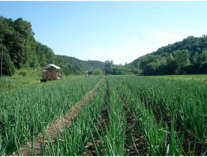 Driftless Organics Winter Storage Box
