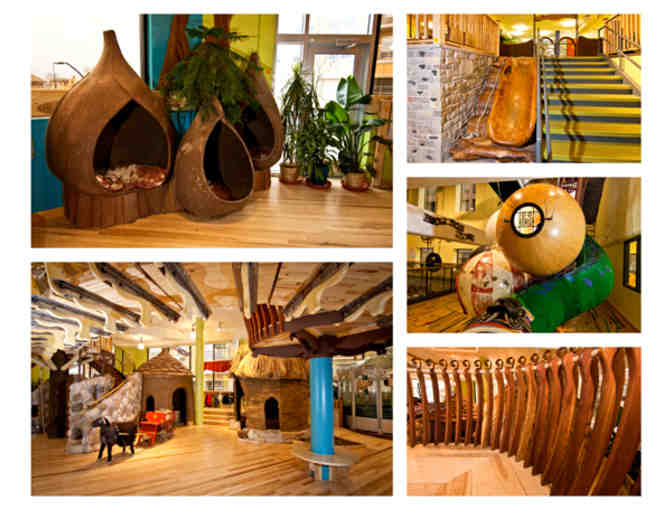 Madison Children's Museum Guest Pass