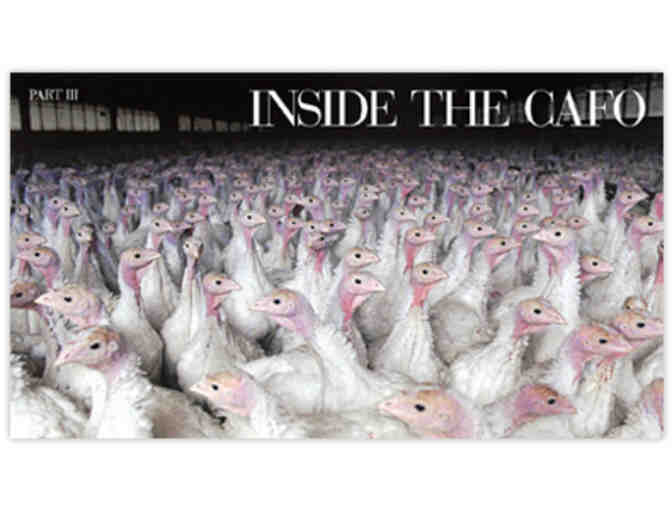 CAFO: The Tragedy of Industrial Animal Factories