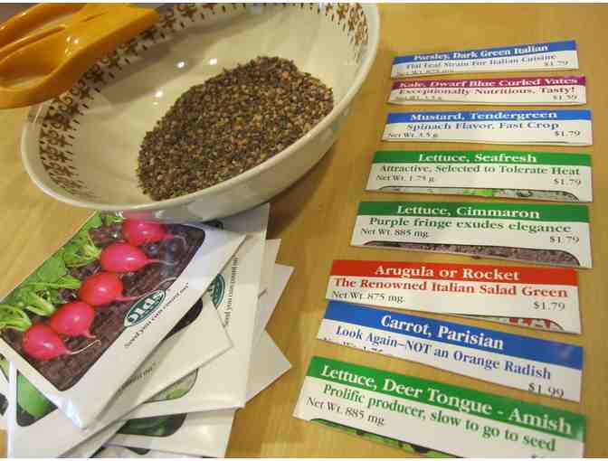 Garden Redesign Consultation