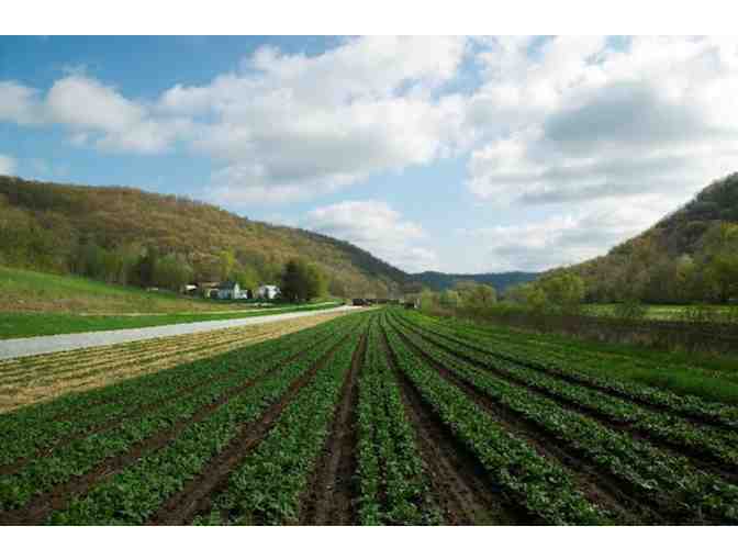 Harmony Valley Farm Winter Gift Basket