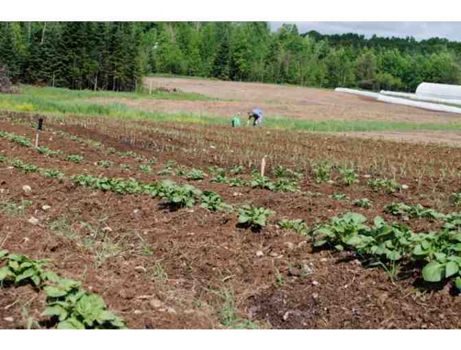 $25 Gift Certificate to Evergood Farm