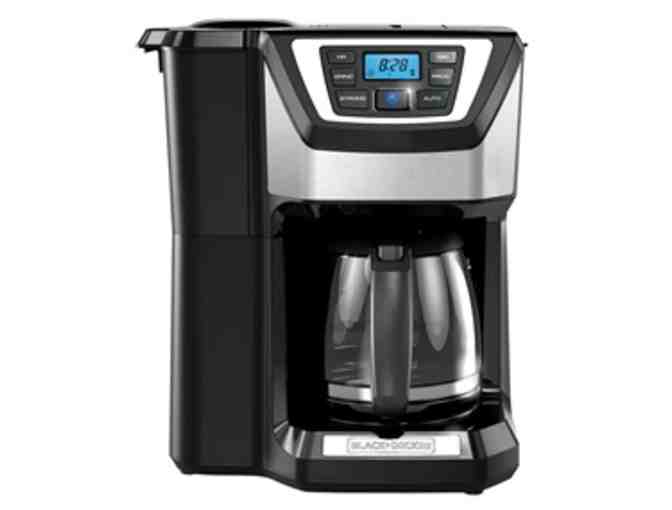 Mill and Brew 12-Cup Programmable Coffee Maker