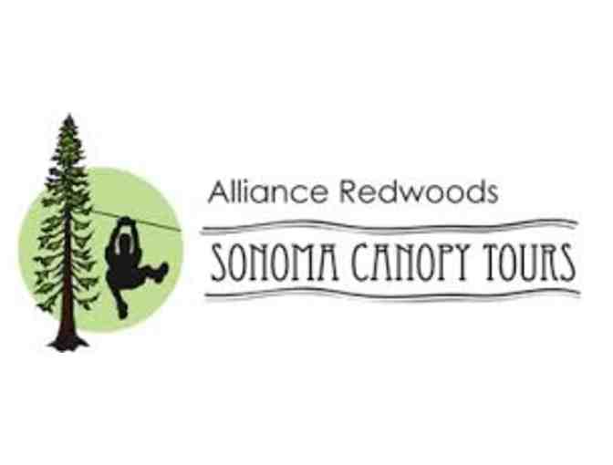 Sonoma Canopy Tours- Zip the Redwoods