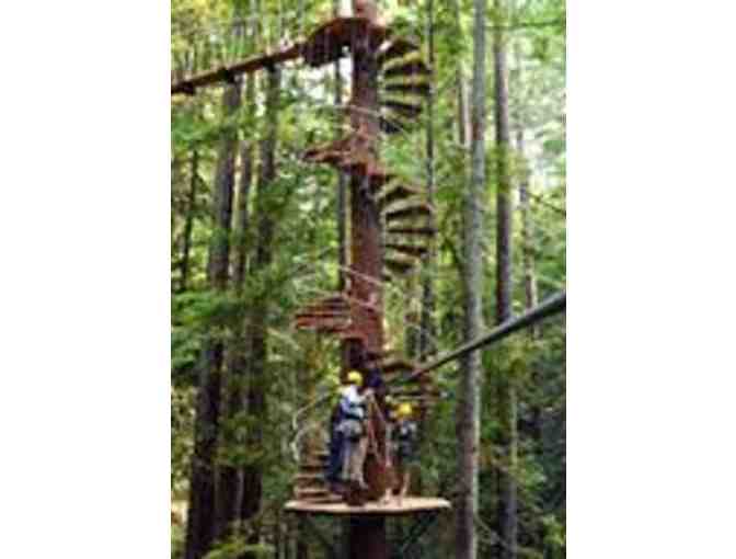 Sonoma Canopy Tours- Zip the Redwoods