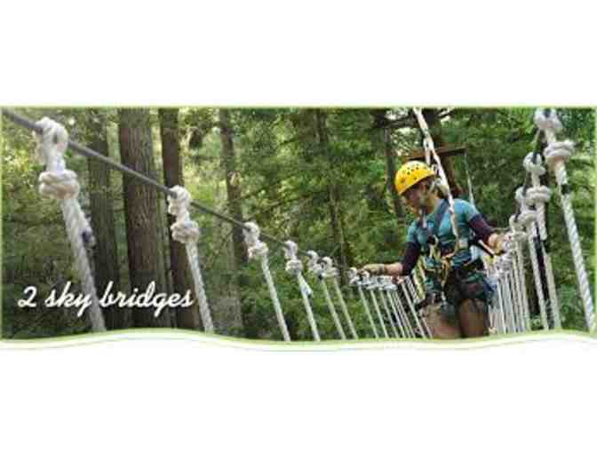 Sonoma Canopy Tours- Zip the Redwoods