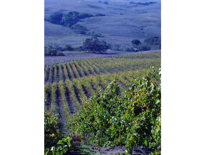 Maserati Ghibli Weekend in Wine Country!