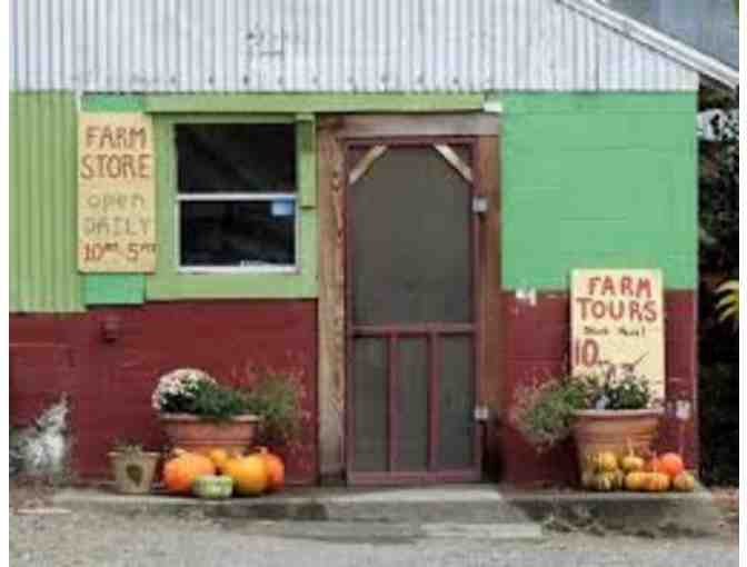 Tara Firma Farms Tour
