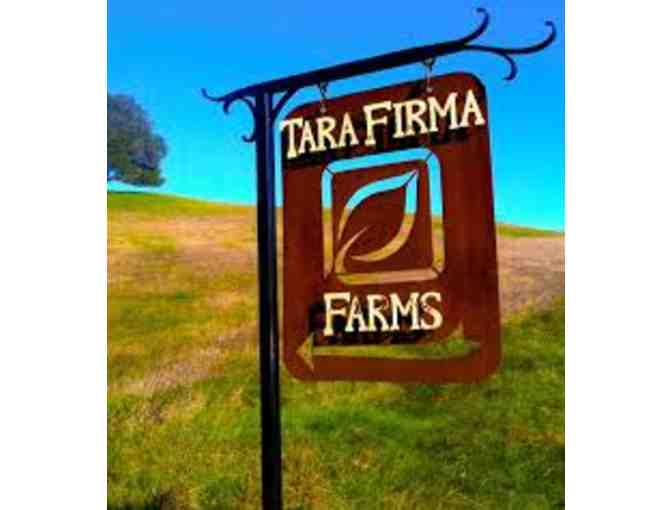 Tara Firma Farms Tour