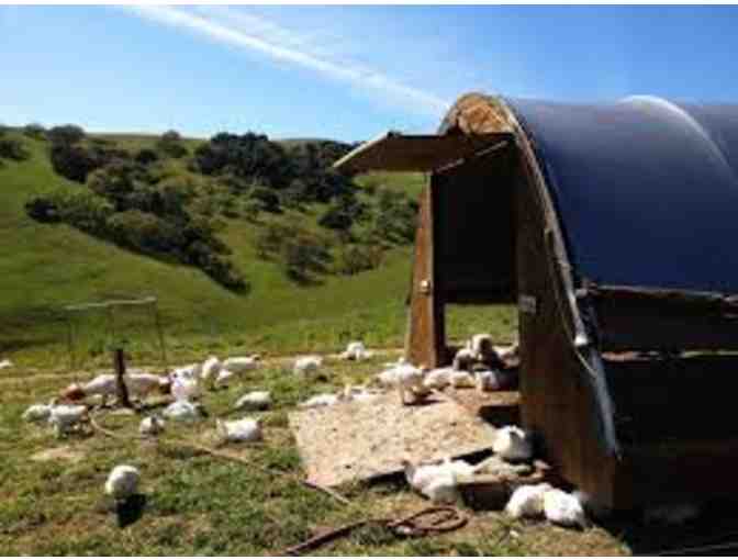 Tara Firma Farms Tour