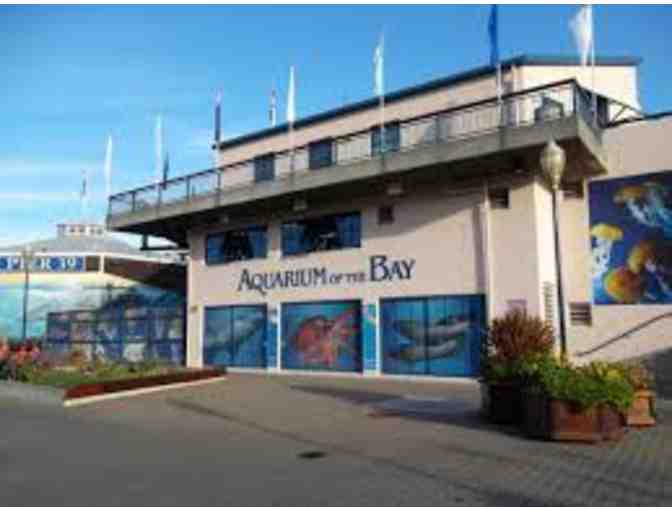 Family Day at the Wharf