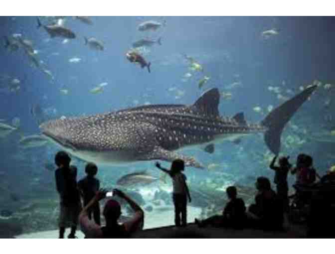 Family Day at the Wharf