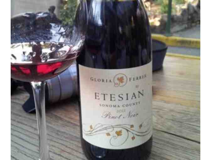 Safari West Family Experience