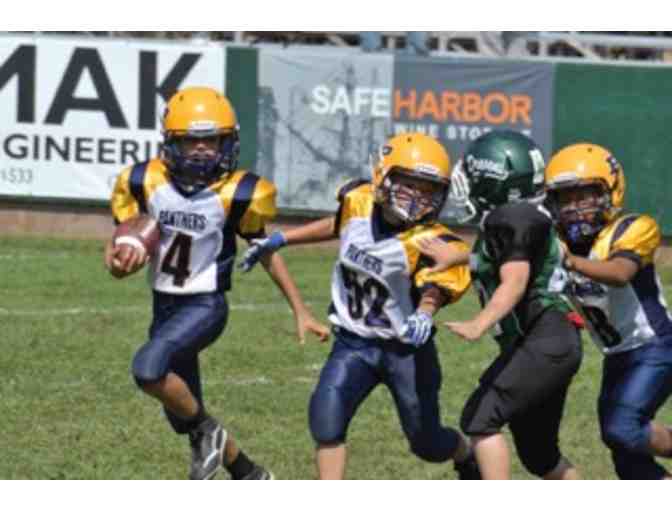 Panthers Football and Cheer 2016 Registration