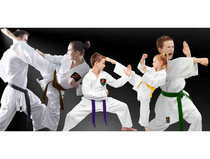 One free month of Martial Arts training