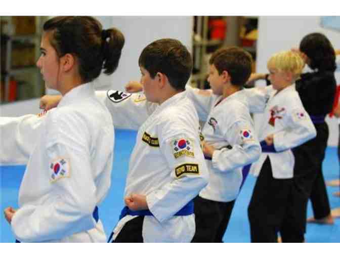 World Karate Training Center: One Week of Unlimited Karate Classes