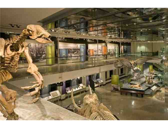 Natural History Museum or Page Museum at La Brea Tar Pits: 4 Guest Passes