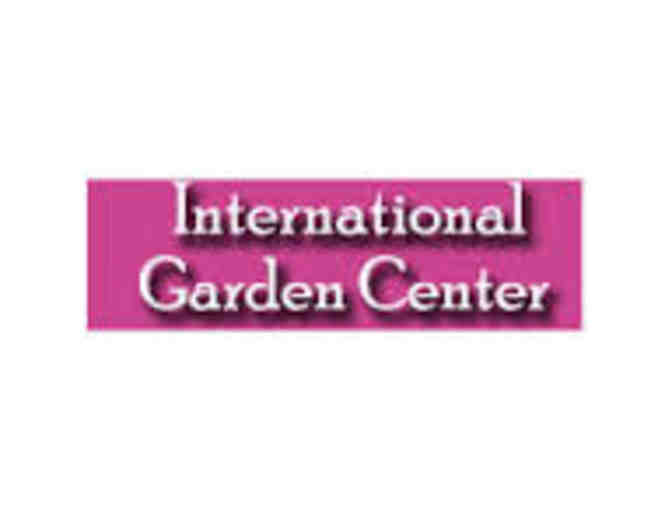 International Garden Center: Fairy Garden