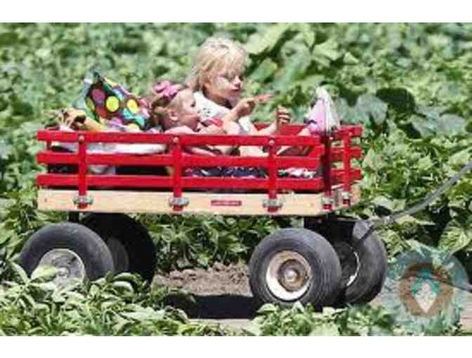 Underwood Family Farms: Moorpark Family Season Pass Good for 5 family members