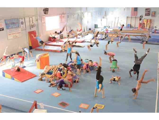 Broadway Gymnastic School: Series of Four Gymnastic Classes