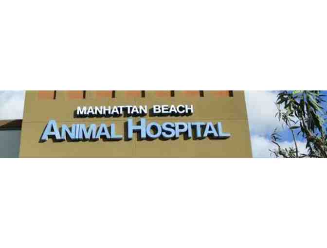 Manhattan Beach Animal Hospital: Veterinary Exam and Grooming