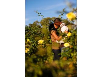 Family Portrait, Engagement or boudoir Photography