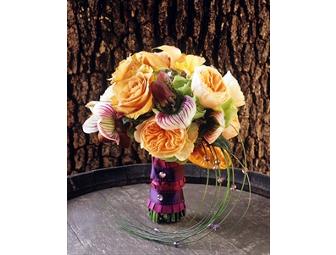 Signed Book: Siganture Sasha