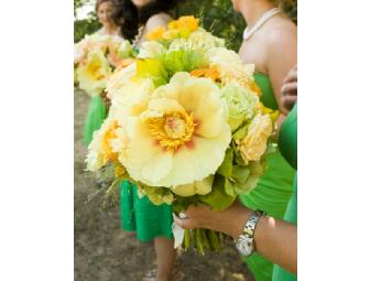 Signed Book: Siganture Sasha