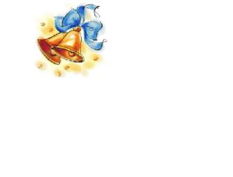 Customized Wedding Ceremony + Officiant