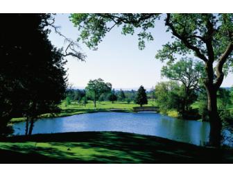 Wine Country Perfection