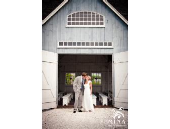 New Jersey / PA / DE / New York / Wedding Photography