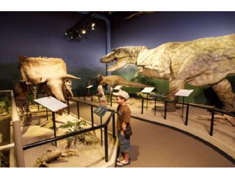 A Pair of Creation Museum Tickets