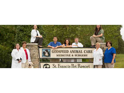 Three veterinary office exams at Godspeed Animal Care