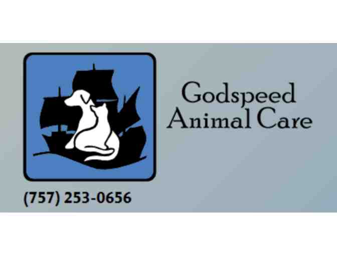 Three veterinary office exams at Godspeed Animal Care!