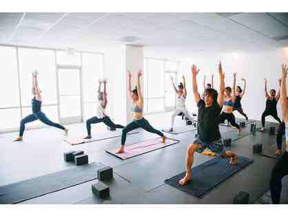 Your Body - Your Mind